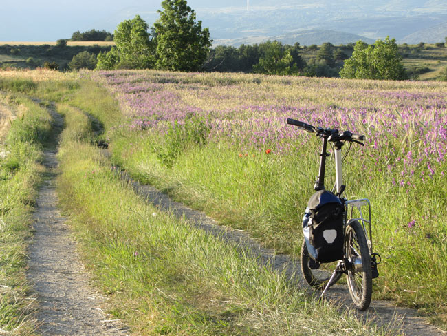 Dahon Speed P8