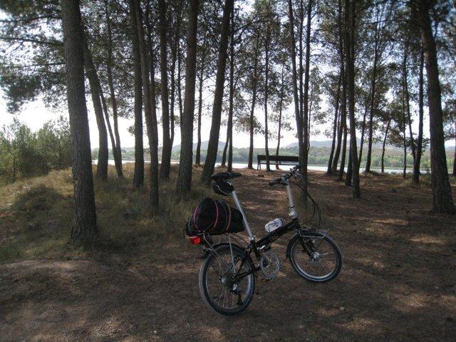 Cam de Sant Jaume amb Dahon Speed TR